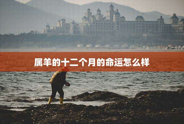 属羊的十二个月的命运怎么样