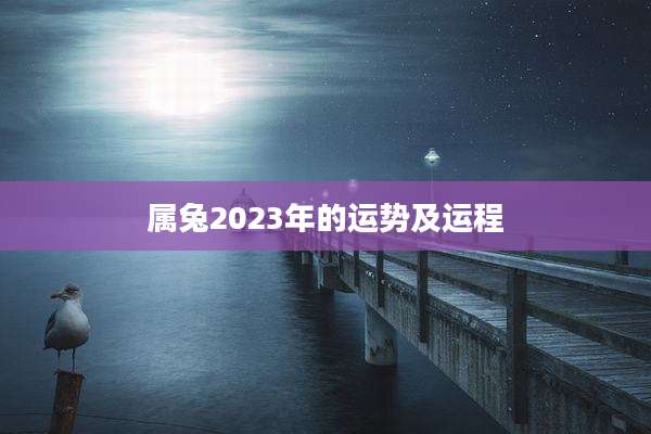 属兔2023年的运势及运程