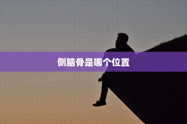 侧脑骨是哪个位置