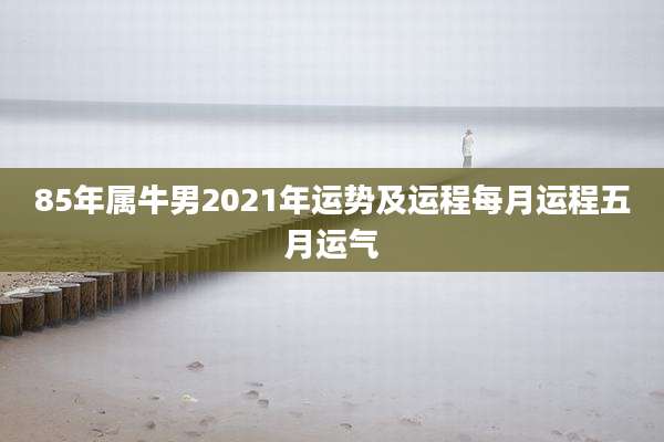 85年属牛男2021年运势及运程每月运程五月运气