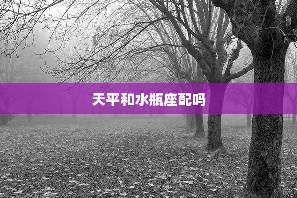 天平和水瓶座配吗