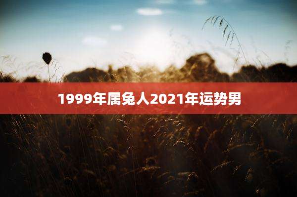 1999年属兔人2021年运势男