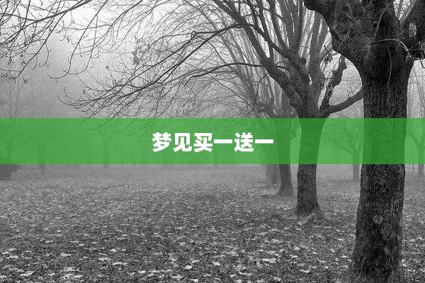 梦见买一送一