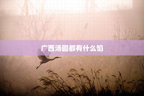 广西汤圆都有什么馅
