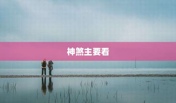 神煞主要看