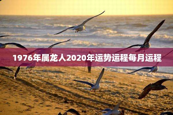 1976年属龙人2020年运势运程每月运程
