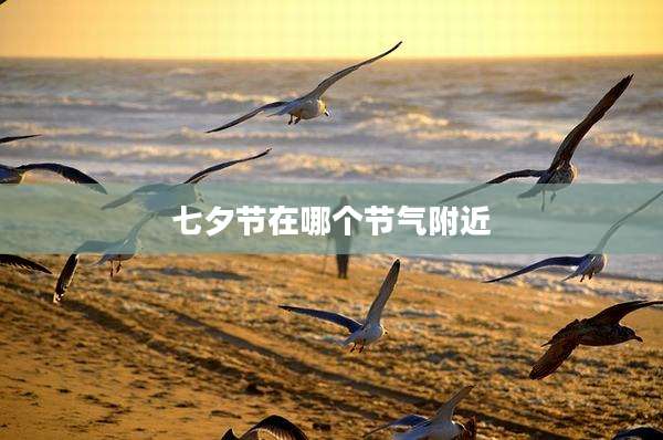 七夕节在哪个节气附近