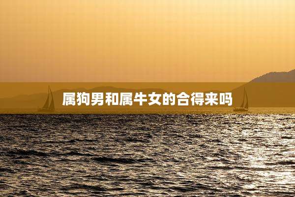 属狗男和属牛女的合得来吗