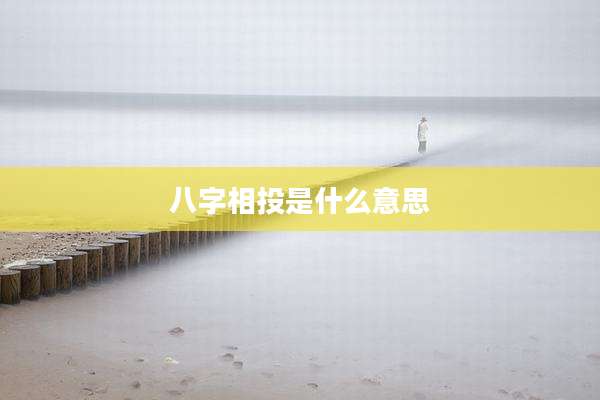 八字相投是什么意思