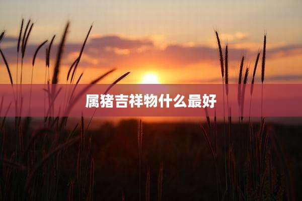 属猪吉祥物什么最好