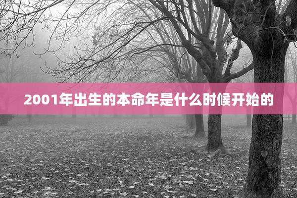 2001年出生的本命年是什么时候开始的