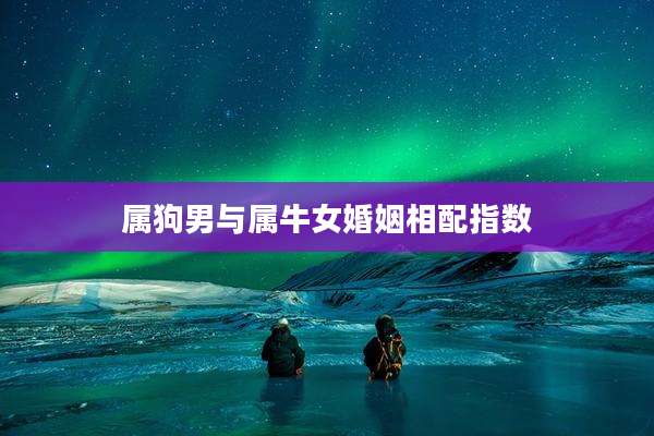 属狗男与属牛女婚姻相配指数