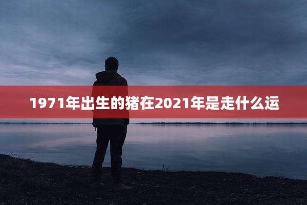 1971年出生的猪在2021年是走什么运
