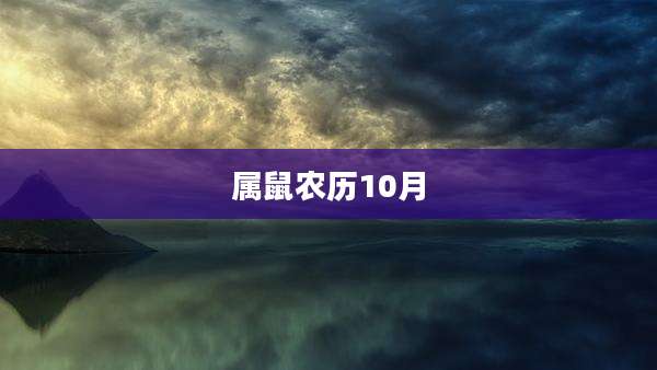 属鼠农历10月