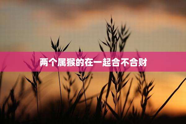 两个属猴的在一起合不合财