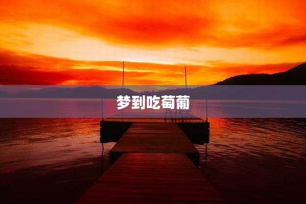 梦到吃萄葡