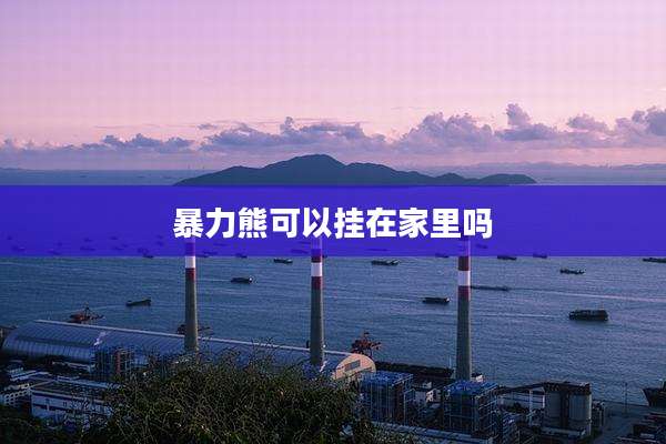 暴力熊可以挂在家里吗