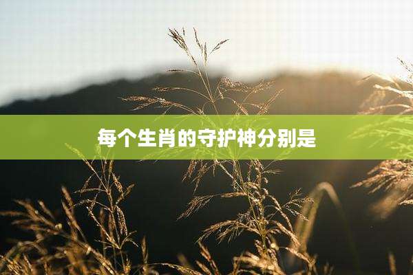 每个生肖的守护神分别是