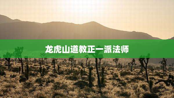 龙虎山道教正一派法师