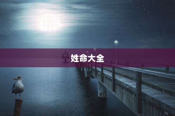 姓命大全