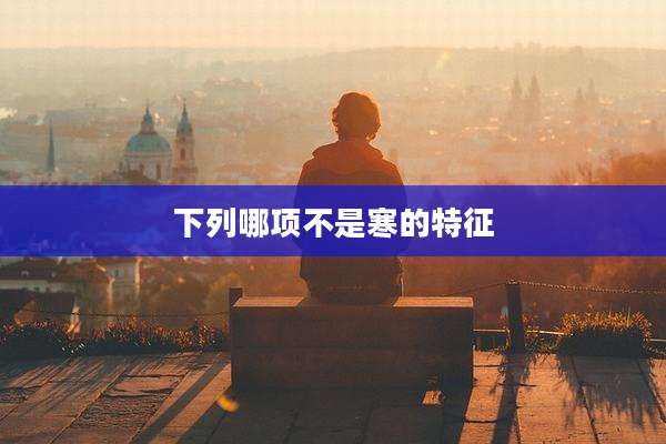 下列哪项不是寒的特征