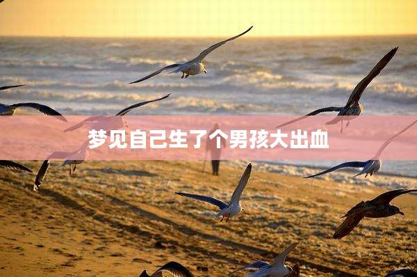 梦见自己生了个男孩大出血