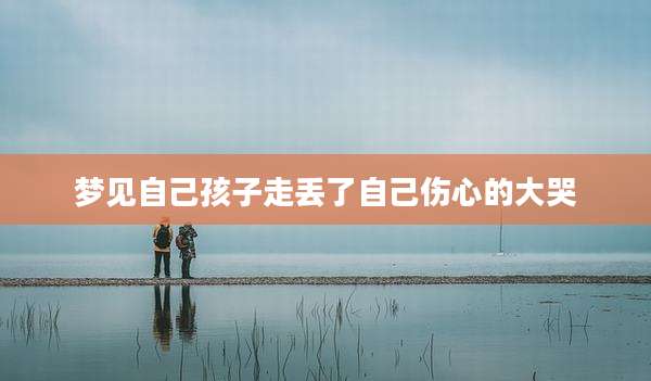 梦见自己孩子走丢了自己伤心的大哭