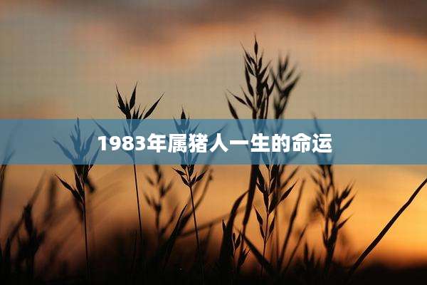 1983年属猪人一生的命运