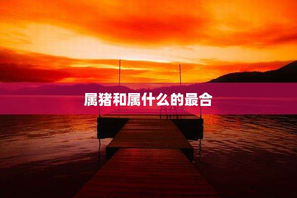 属猪和属什么的最合