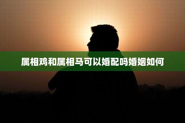 属相鸡和属相马可以婚配吗婚姻如何