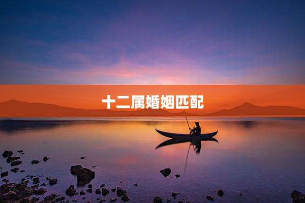 十二属婚姻匹配
