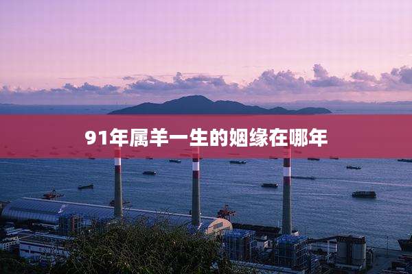 91年属羊一生的姻缘在哪年