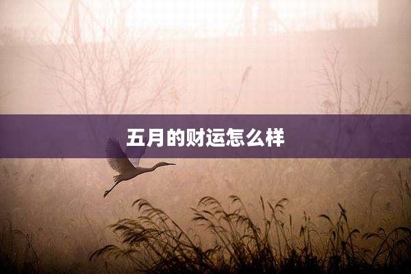 五月的财运怎么样
