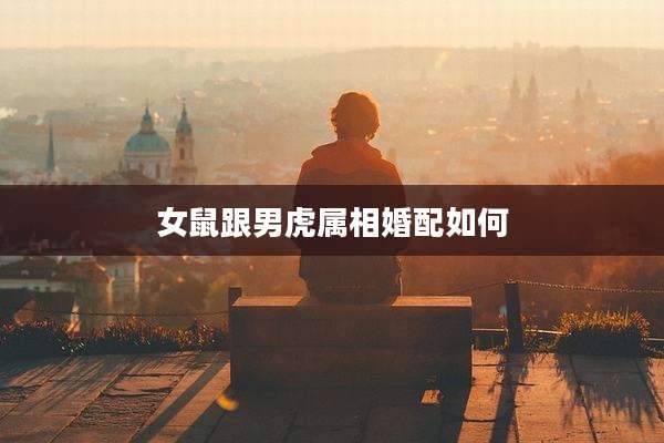 女鼠跟男虎属相婚配如何