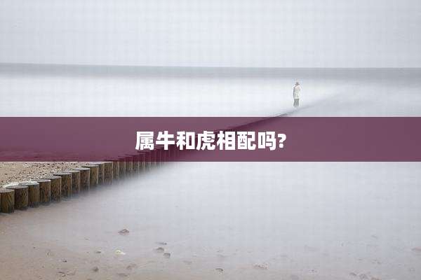 属牛和虎相配吗?