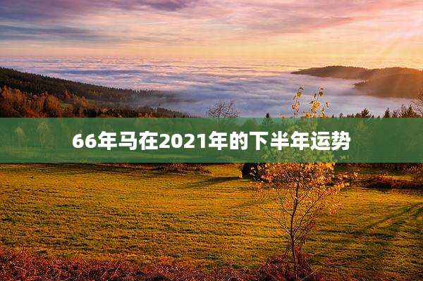 66年马在2021年的下半年运势
