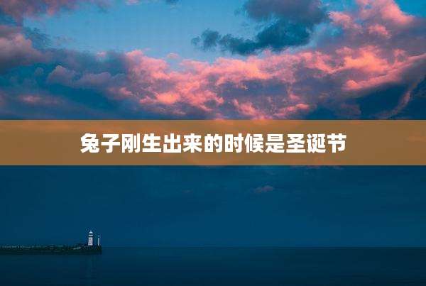兔子刚生出来的时候是圣诞节