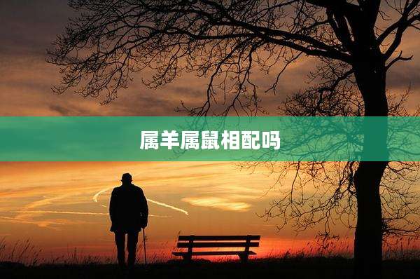 属羊属鼠相配吗