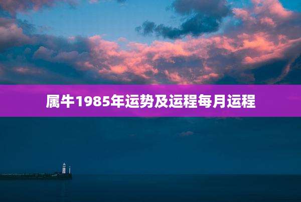 属牛1985年运势及运程每月运程