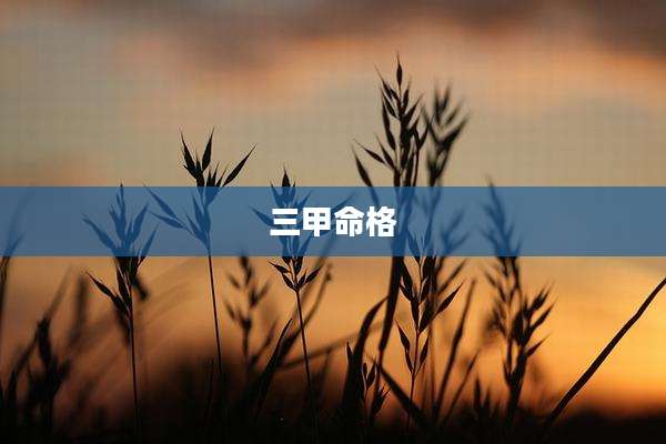 三甲命格