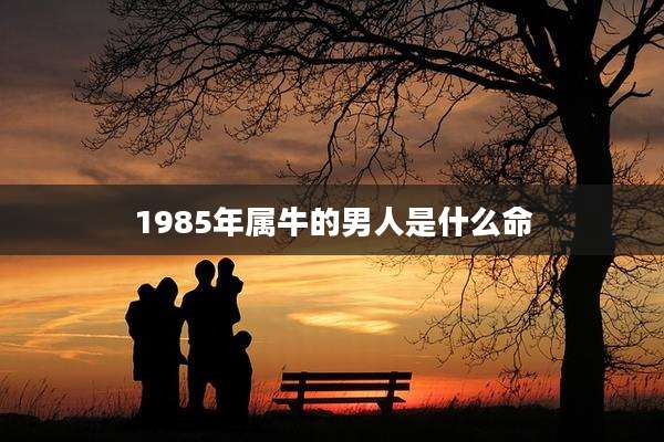 1985年属牛的男人是什么命