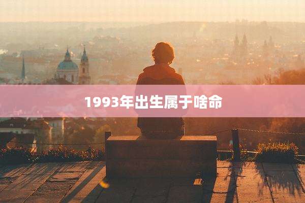 1993年出生属于啥命