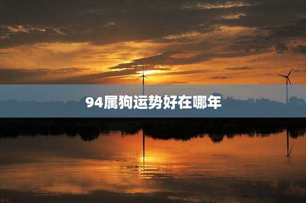94属狗运势好在哪年