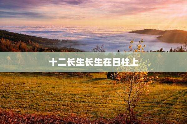 十二长生长生在日柱上
