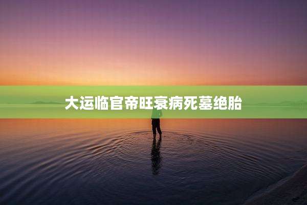 大运临官帝旺衰病死墓绝胎