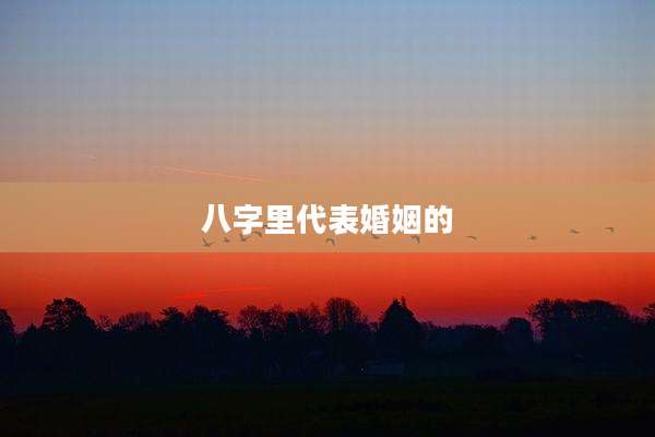 八字里代表婚姻的