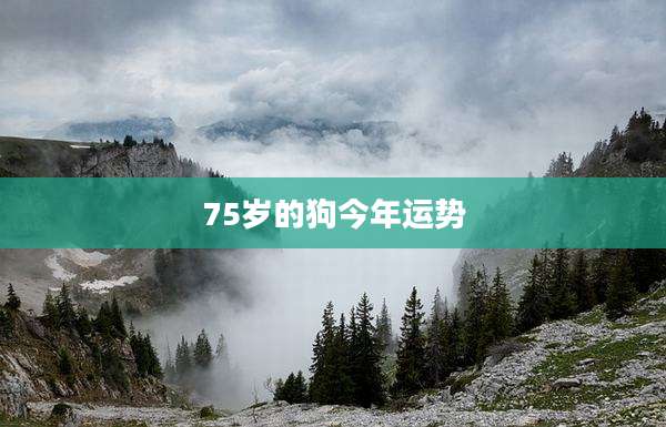 75岁的狗今年运势