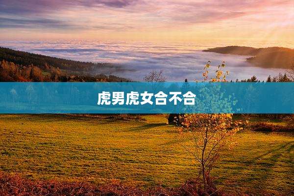虎男虎女合不合