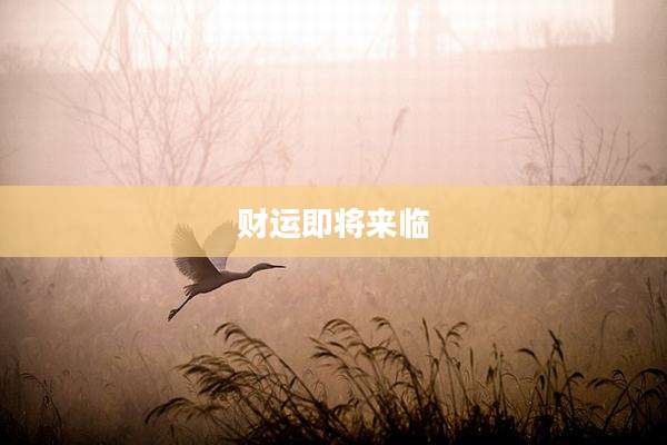 财运即将来临