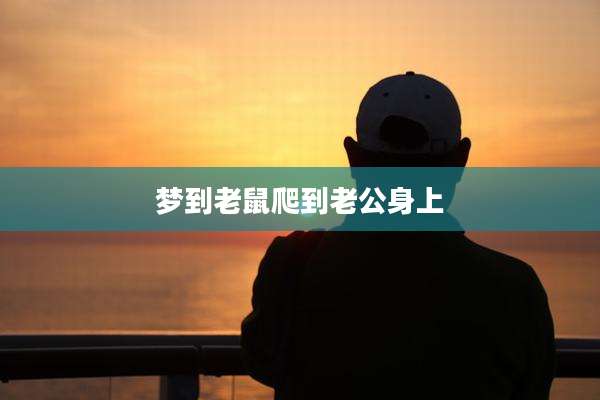 梦到老鼠爬到老公身上